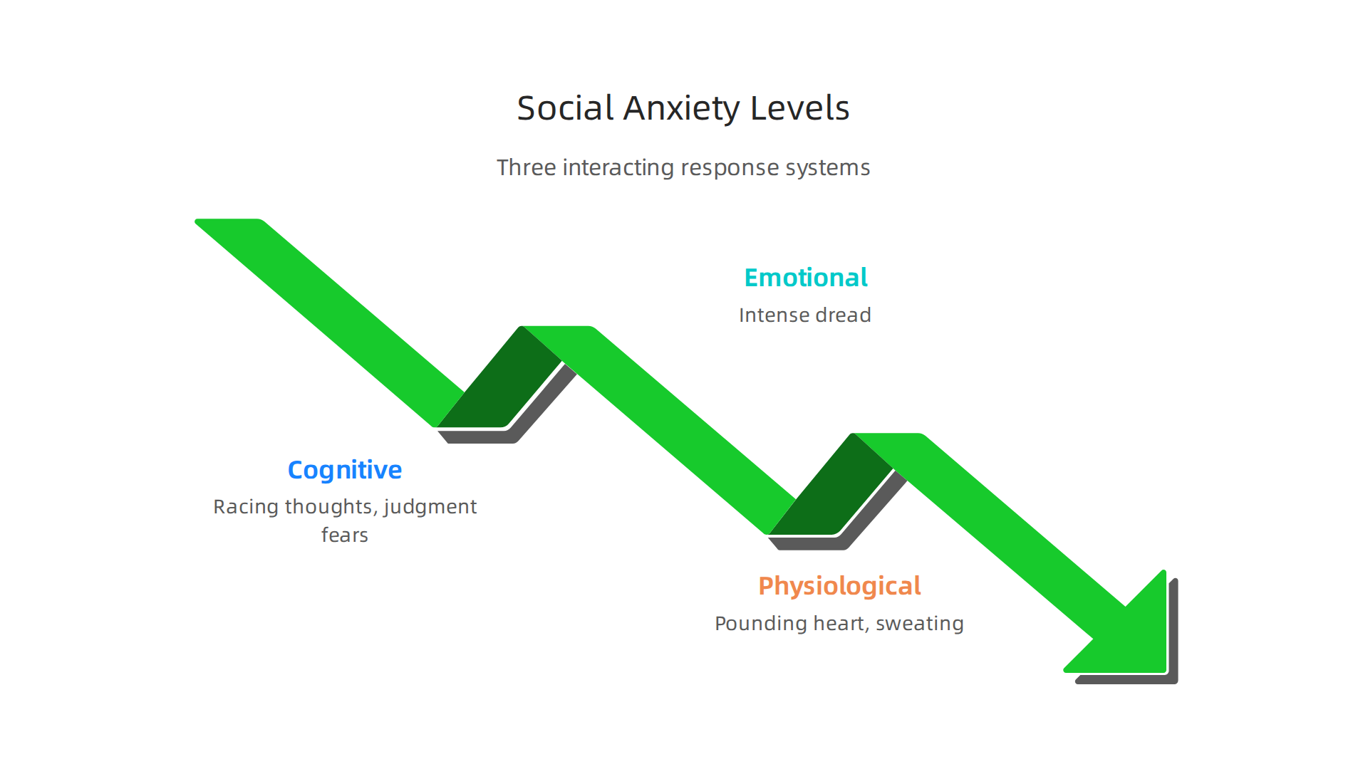 Social anxiety manifests across cognitive (racing thoughts, judgment fears), emotional (intense dread), and physiological (pounding heart, sweating) levels, impacting the whole system.