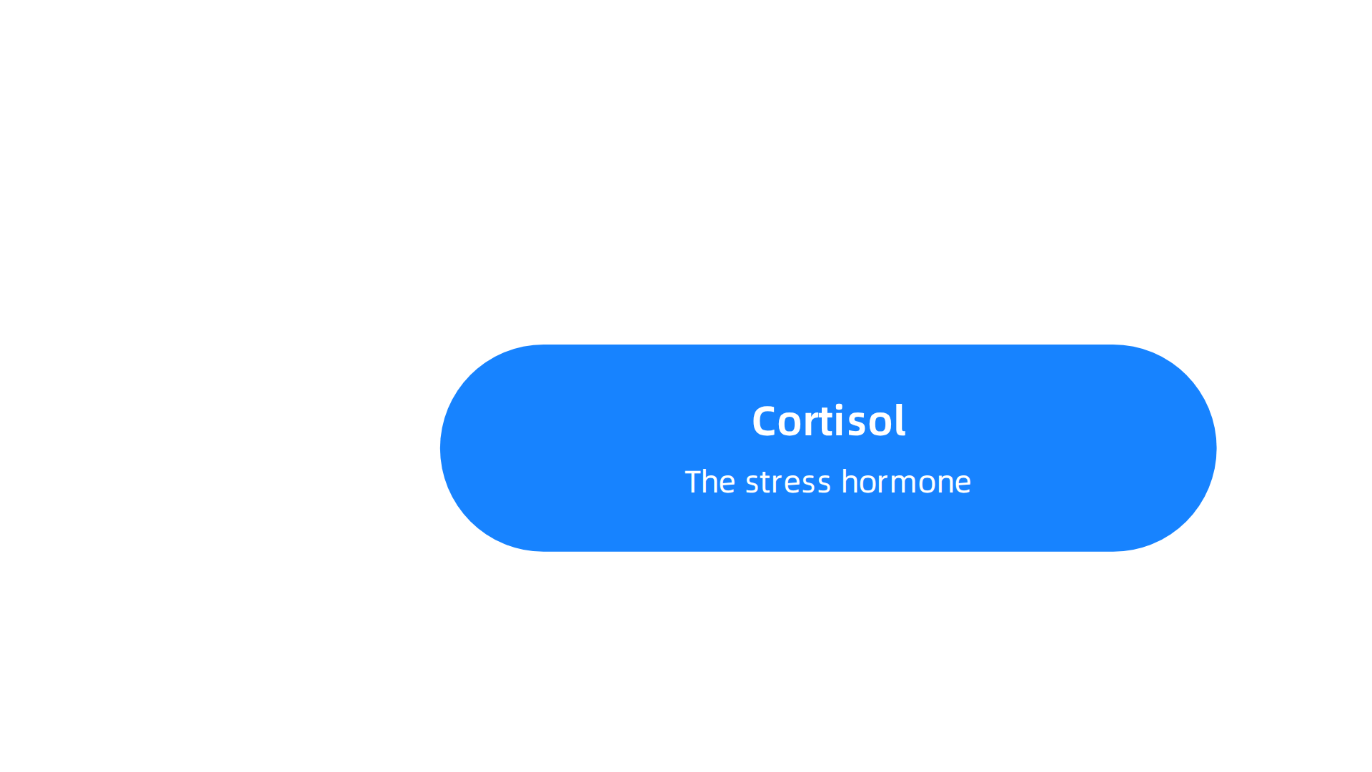 Key neurotransmitters and hormones involved in the brain's anxiety response, affecting mood, stress, and focus.