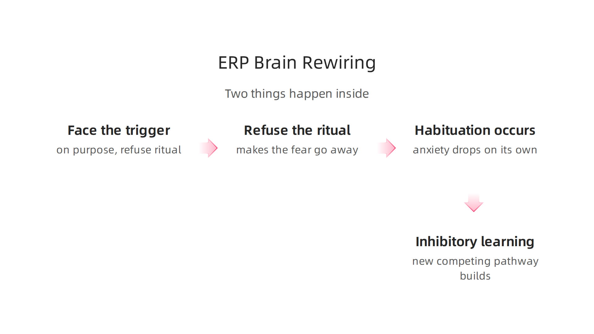 The scientific mechanisms behind Exposure and Response Prevention therapy that help modify brain pathways.