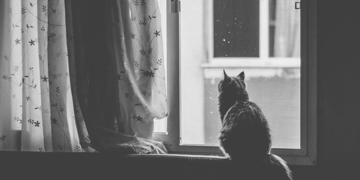 A person looking out a window, reflecting on feelings of meaninglessness and introspection.